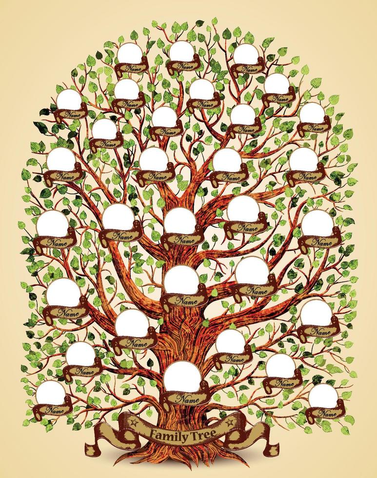 ilustração em vetor modelo árvore genealógica