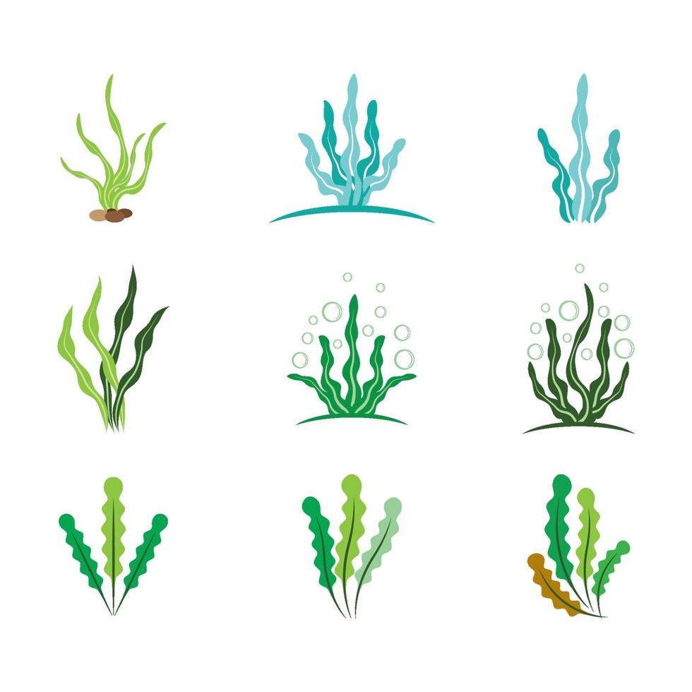 conjunto de ilustração de imagens de logotipo de algas marinhas vetor