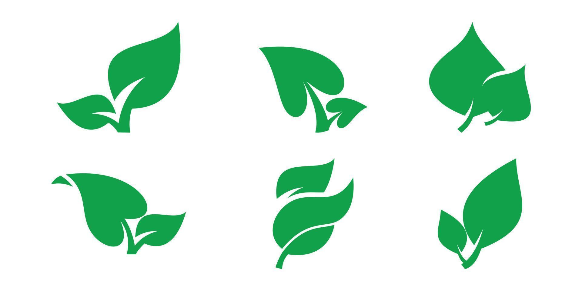 folha ícone, vetor conjunto do verde folhas em branco fundo