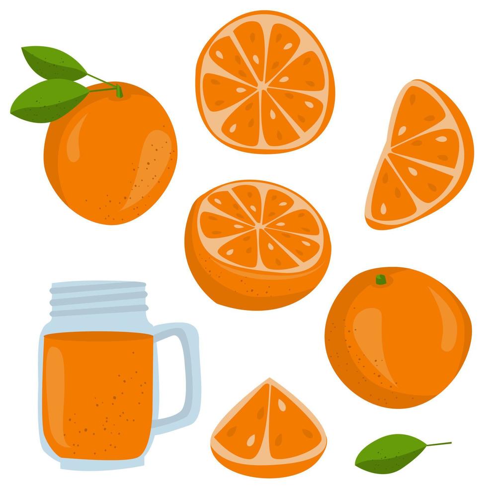 conjunto do isolado colori laranja com folhas, metade, fatiar, círculo e todo suculento fruta em branco fundo vetor