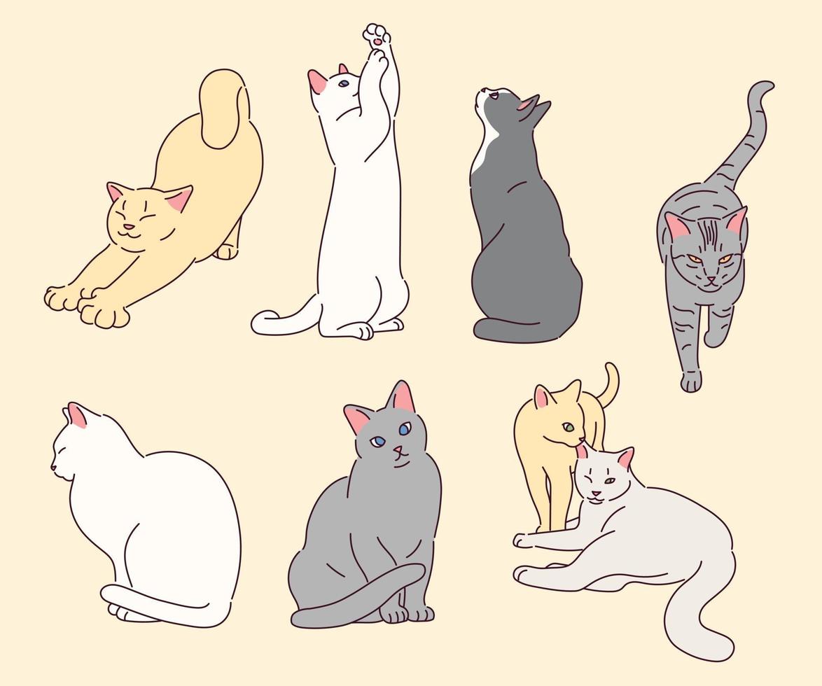 coleção de personagens de gatos fofos. vetor