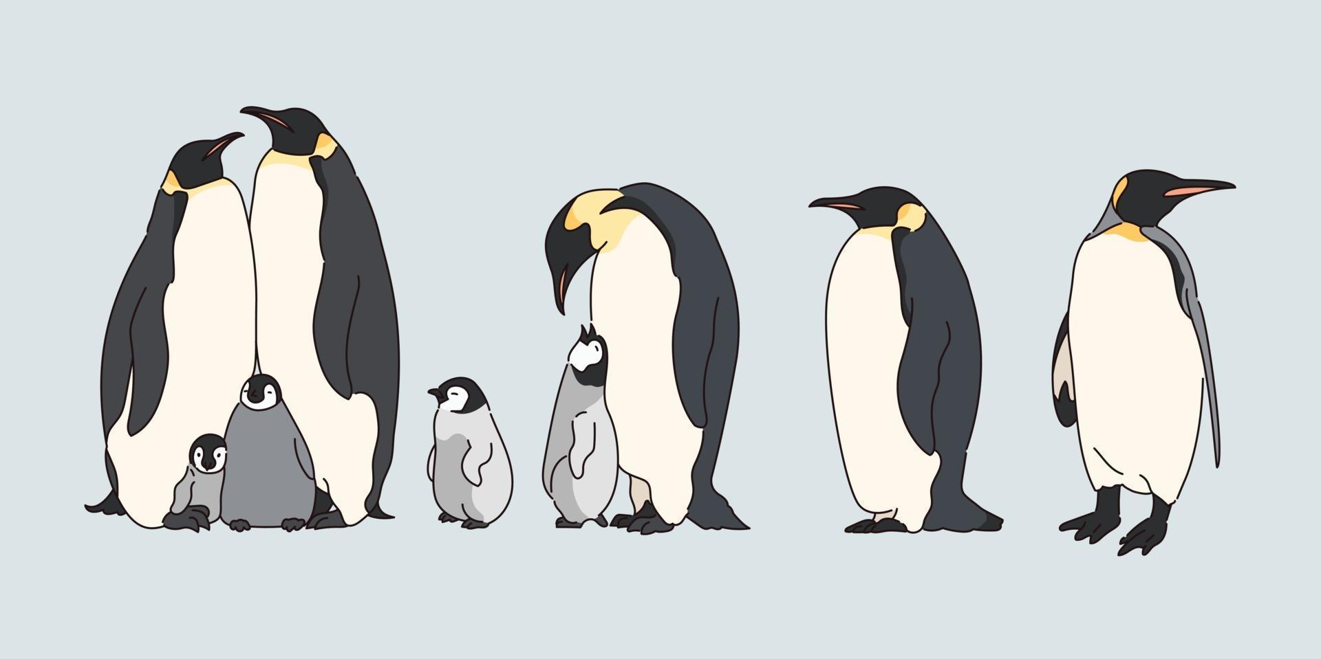 ilustração de família de pinguim fofo. vetor