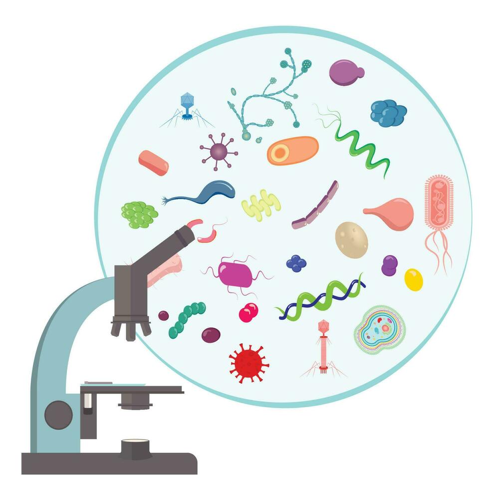 microscópico microorganismos vivo dentro uma bioma científico vetor ilustração gráfico ícone