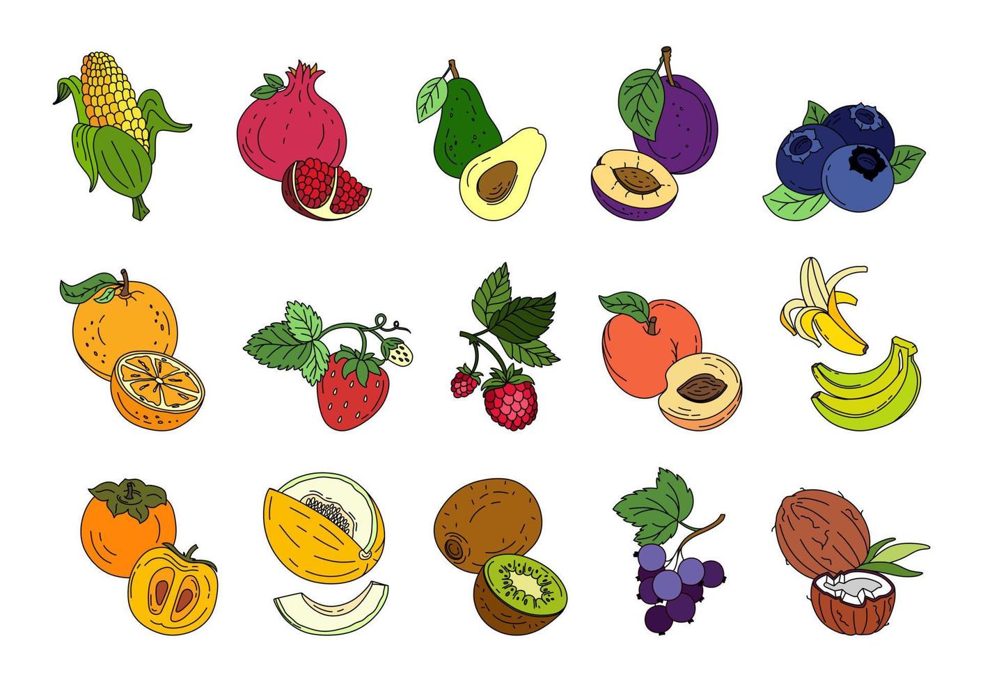 exótico fruta conjunto rabisco vetor cor ilustração isolado em branco fundo