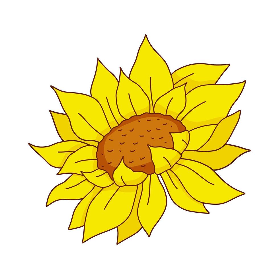 girassol amigo colorida botânico mão desenhado amarelo flor ilustração isolado em branco fundo. vetor desenho animado floral ilustração