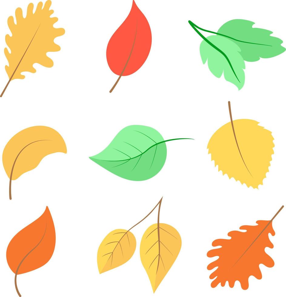 conjunto de ilustração vetorial de folhas de outono vetor