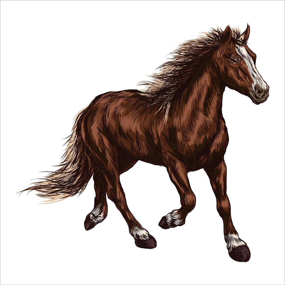 Castanho cavalo corrida dentro uma campo. cavalo corrida ou equestre esportivo símbolo vetor