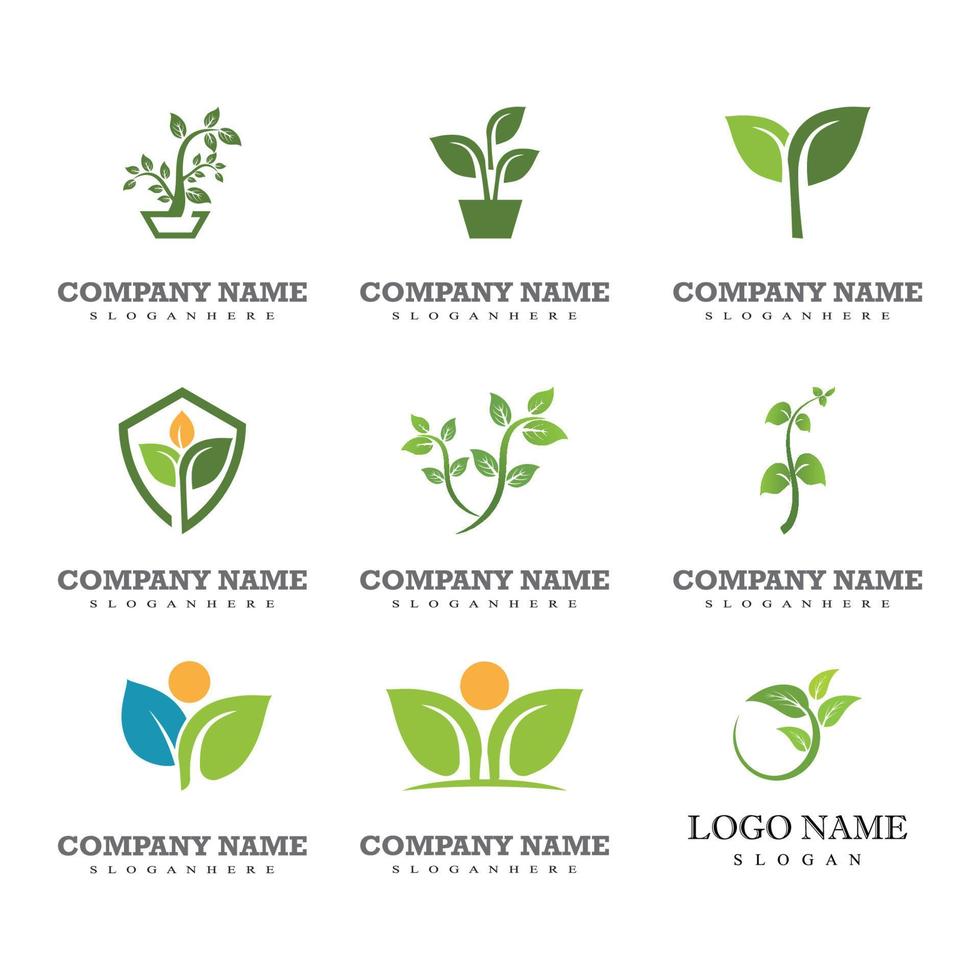 ícone de vetor de elemento de natureza de logotipo de folha verde