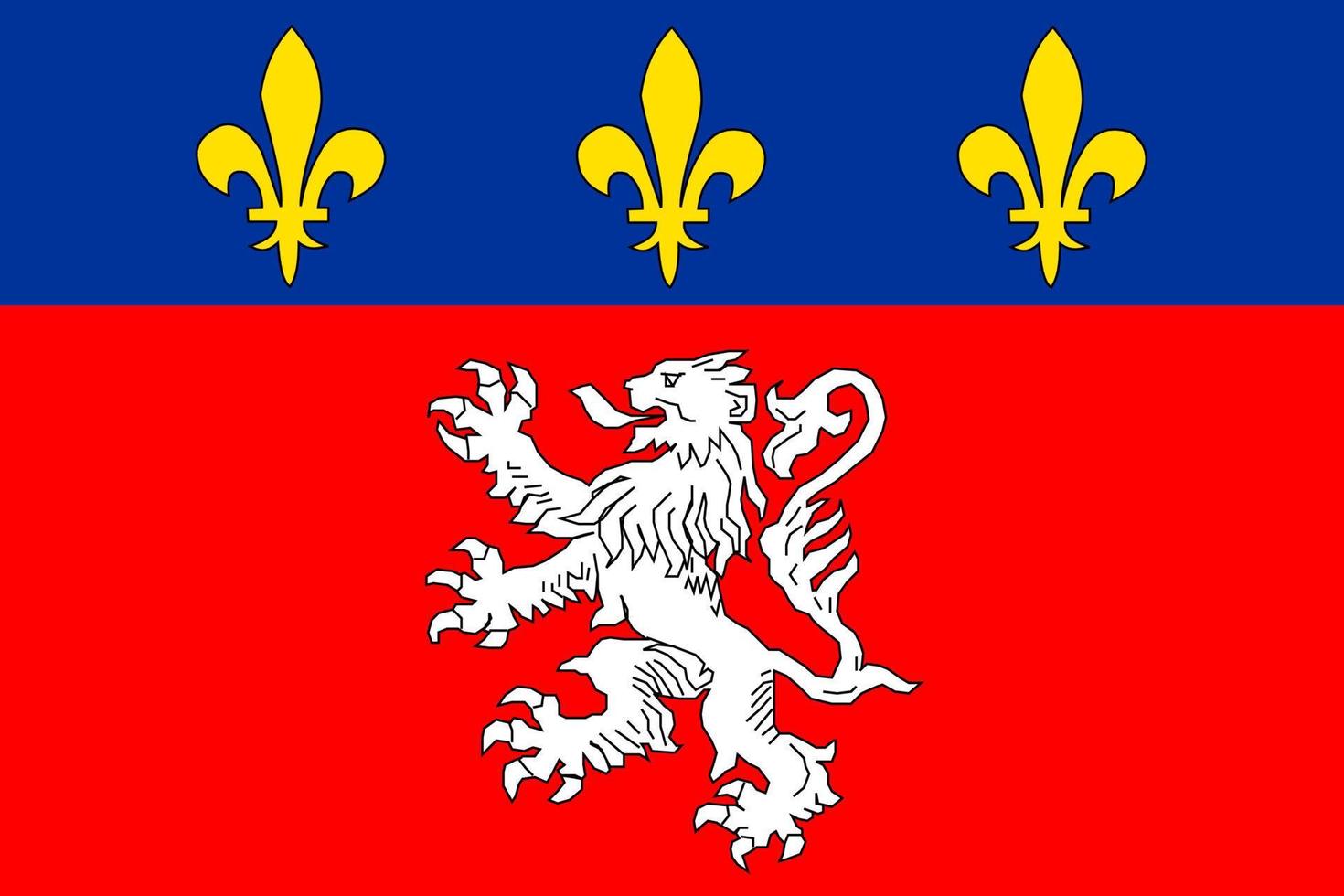 simples bandeira do cidade do França vetor