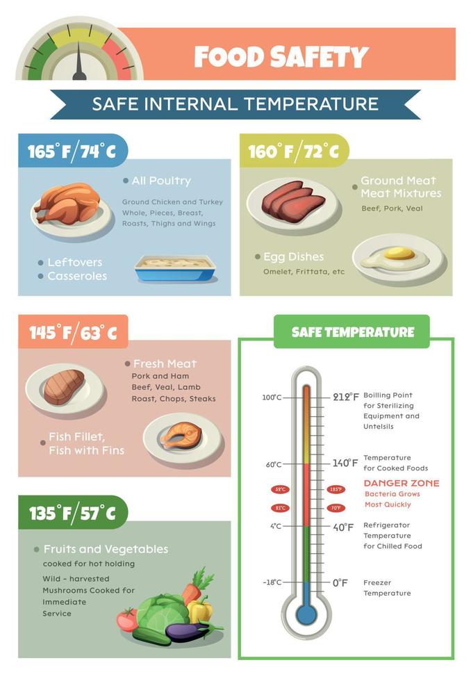 Comida segurança temperatura infográficos vetor