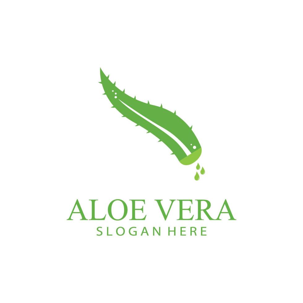 aloés vera logotipo Projeto vetor ilustração modelo