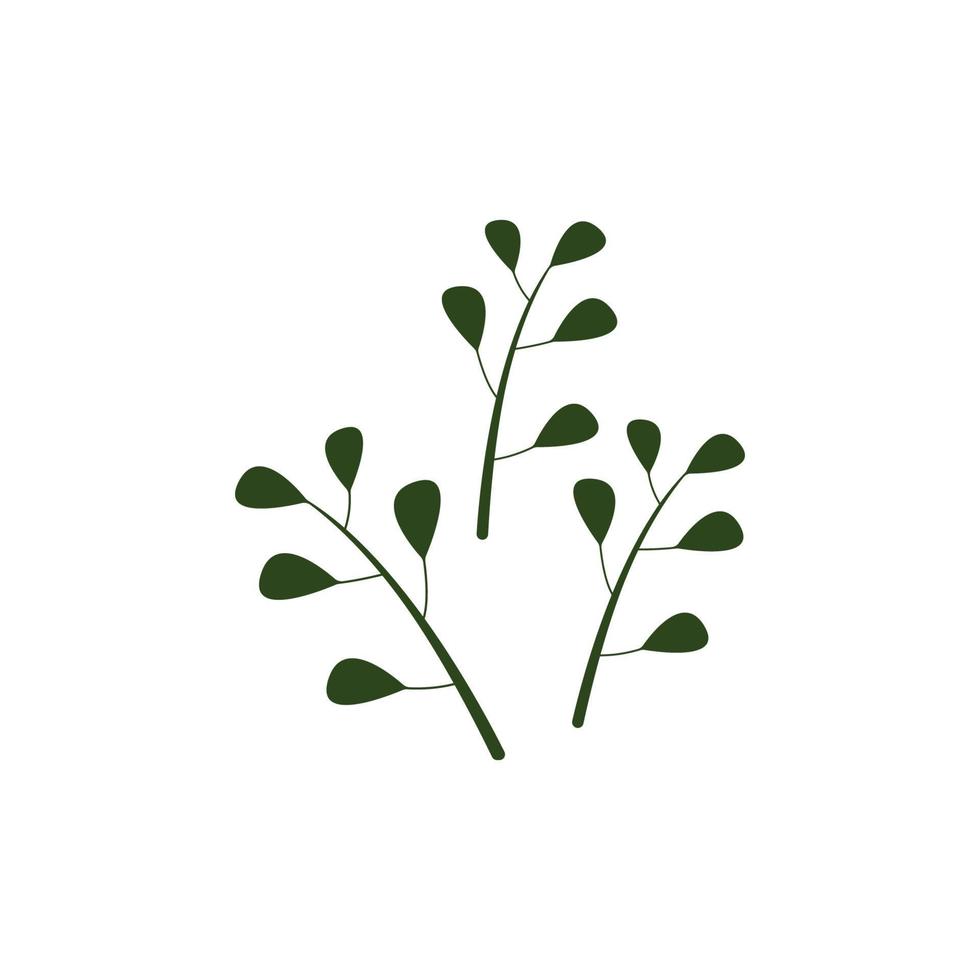 verde natural moringa folha logotipo modelo isolado em branco fundo. vetor