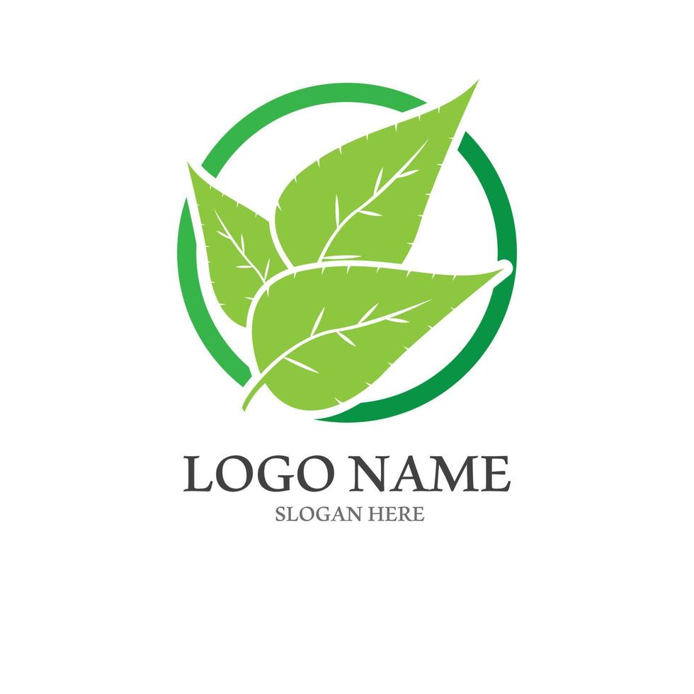 natural verde folha logotipo. com a ilustração logotipo Projeto dentro uma moderno estilo. uma logotipo para saúde e Cuidado. vetor