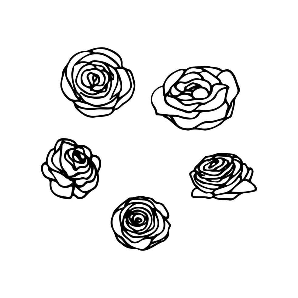 conjunto do flor brotos - mão desenhado doodle. rosa brotos vetor esboço