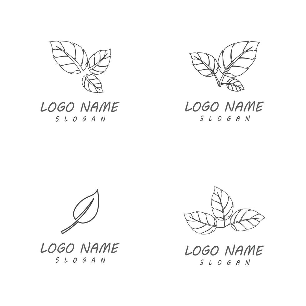 vetor de ícones de linha de folhas design de logotipo de folhas