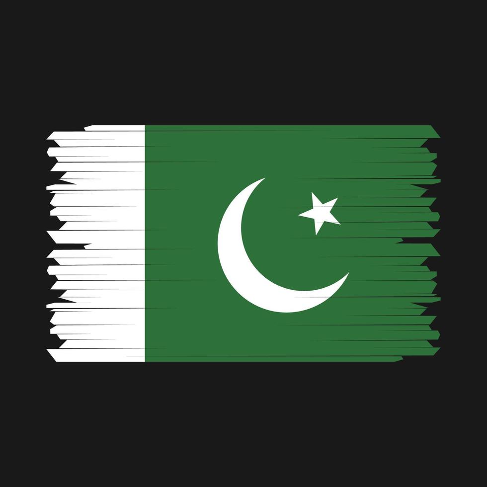 vetor de escova de bandeira do Paquistão