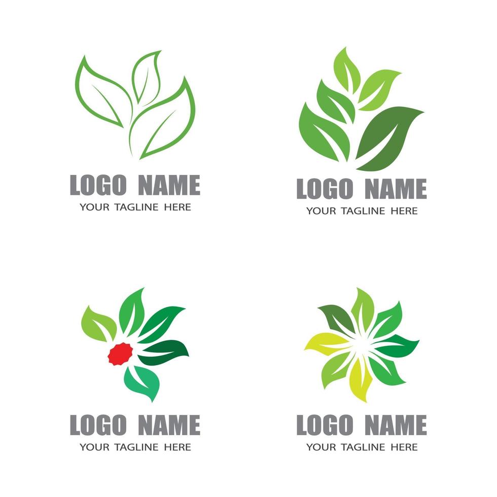 modelos de logotipo da natureza da folha vetor