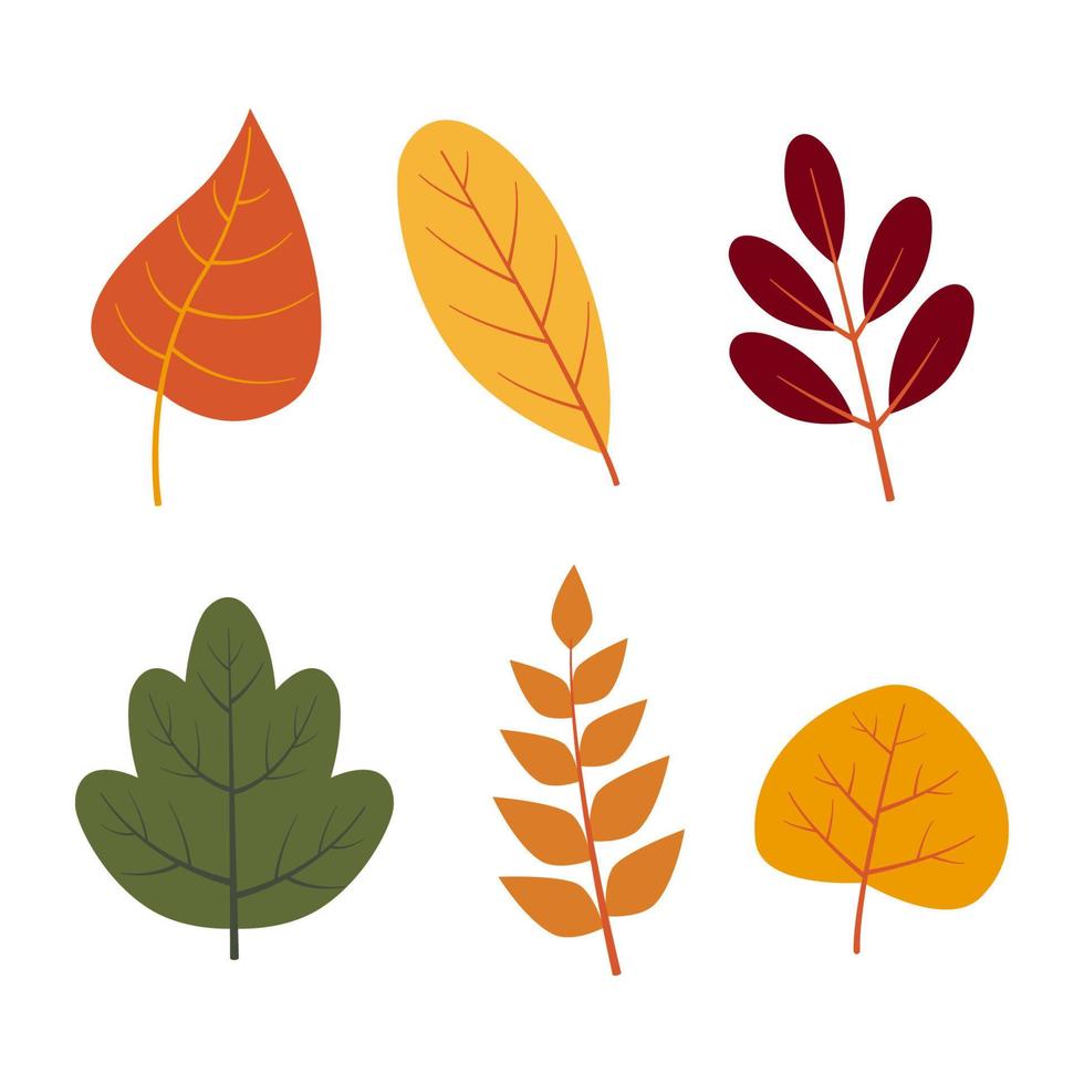 mão desenhado outono folhas ilustração Projeto vetor