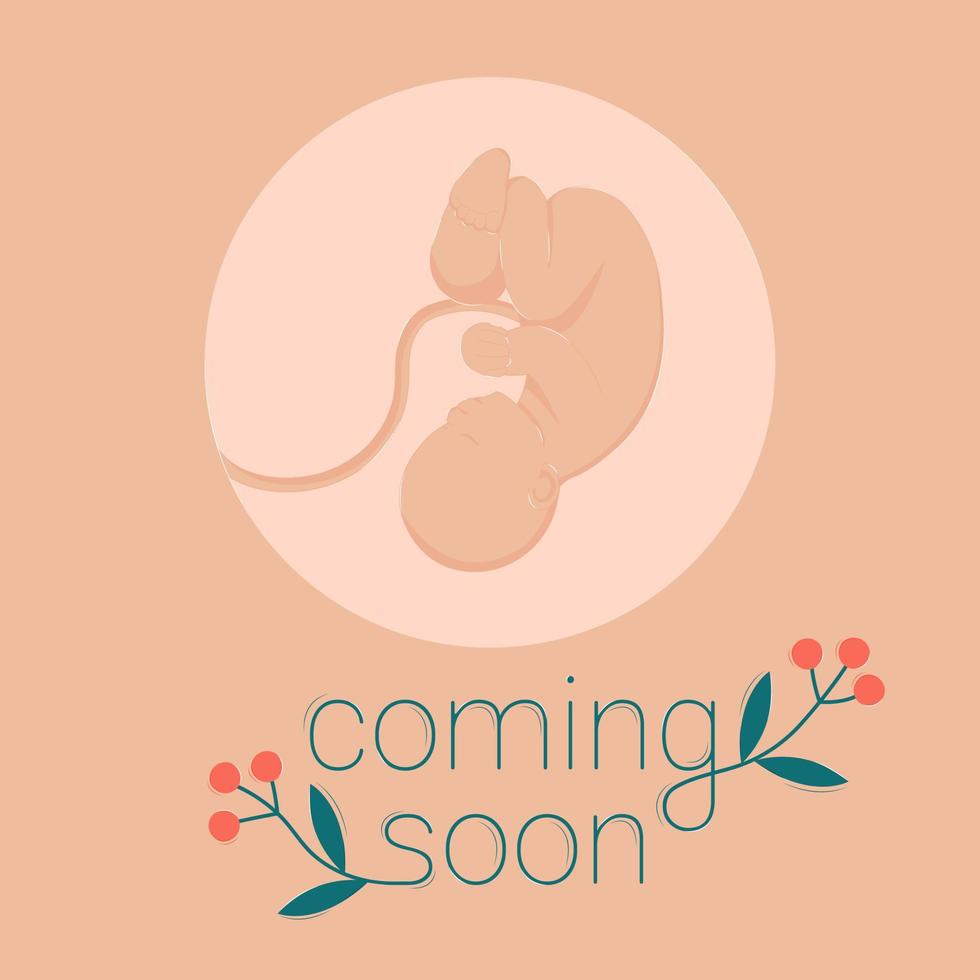 chegando em breve parto pré-natal período pequeno criança embrião obstétrico Cuidado vetor