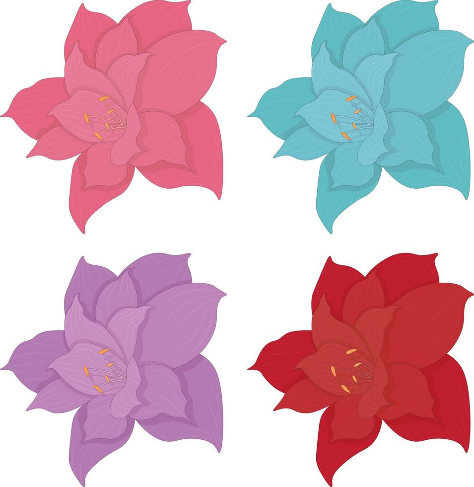 quatro cores rosa, azul, roxa e vermelho amaryllis flores coleção vetor ilustração