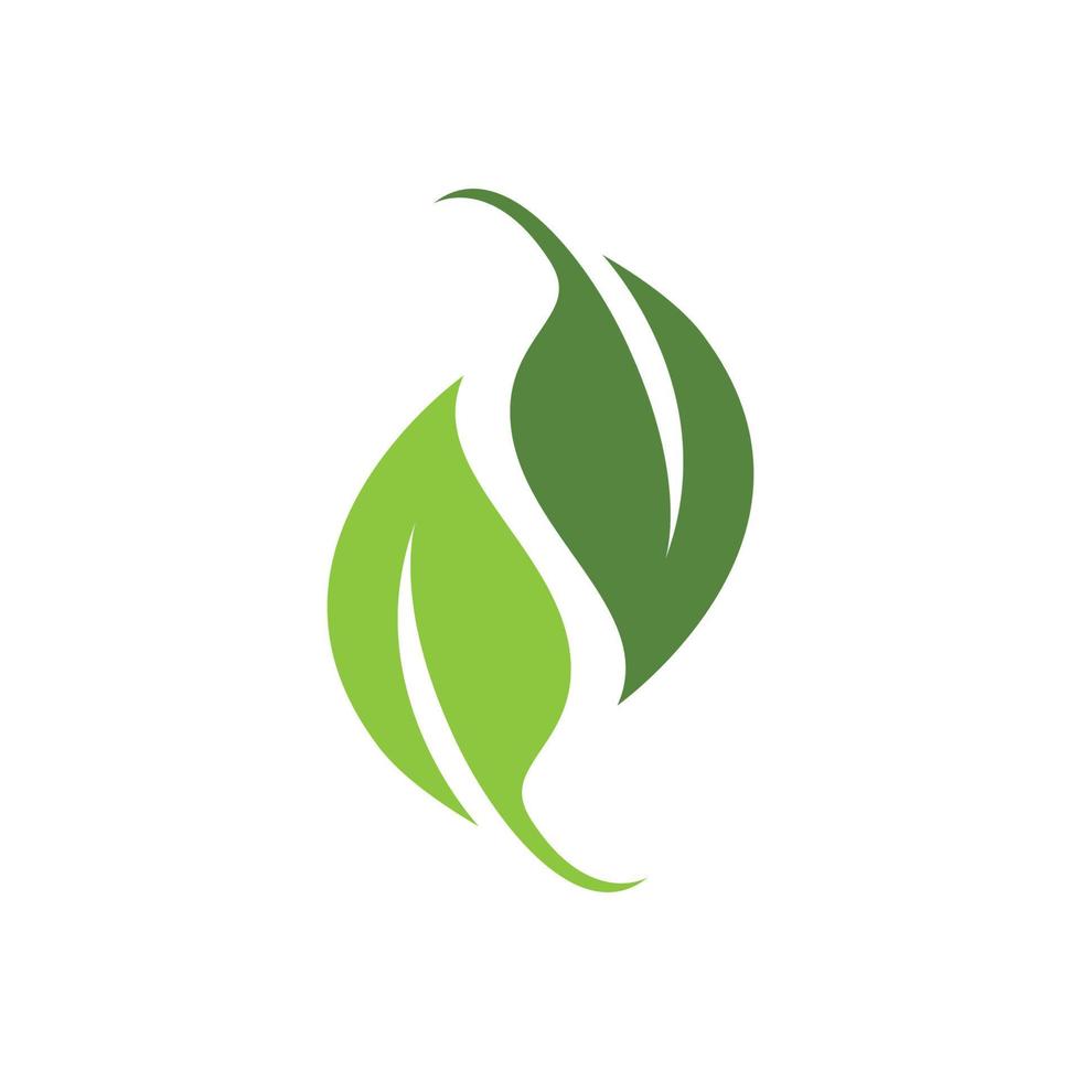 logotipos da ecologia de folhas verdes vetor