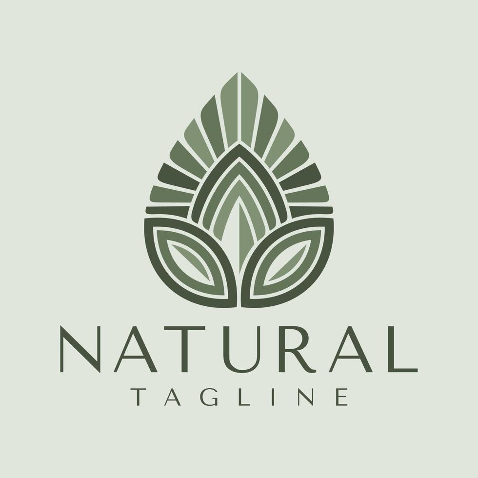 luxo natural folha água logotipo Projeto. elegância folha gotícula carta uma logotipo marca. vetor