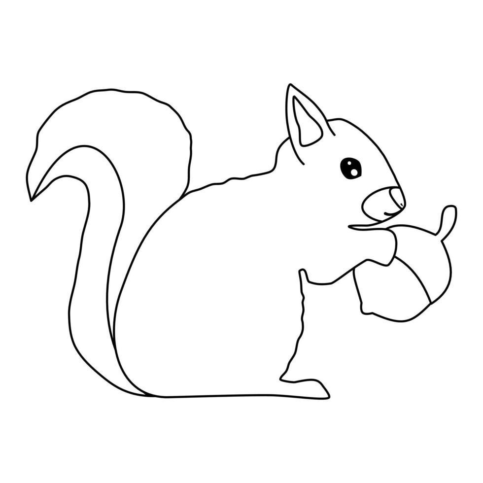 fofa desenho animado personagem Preto e branco esquilo com nozes vetor ilustração para coloração arte