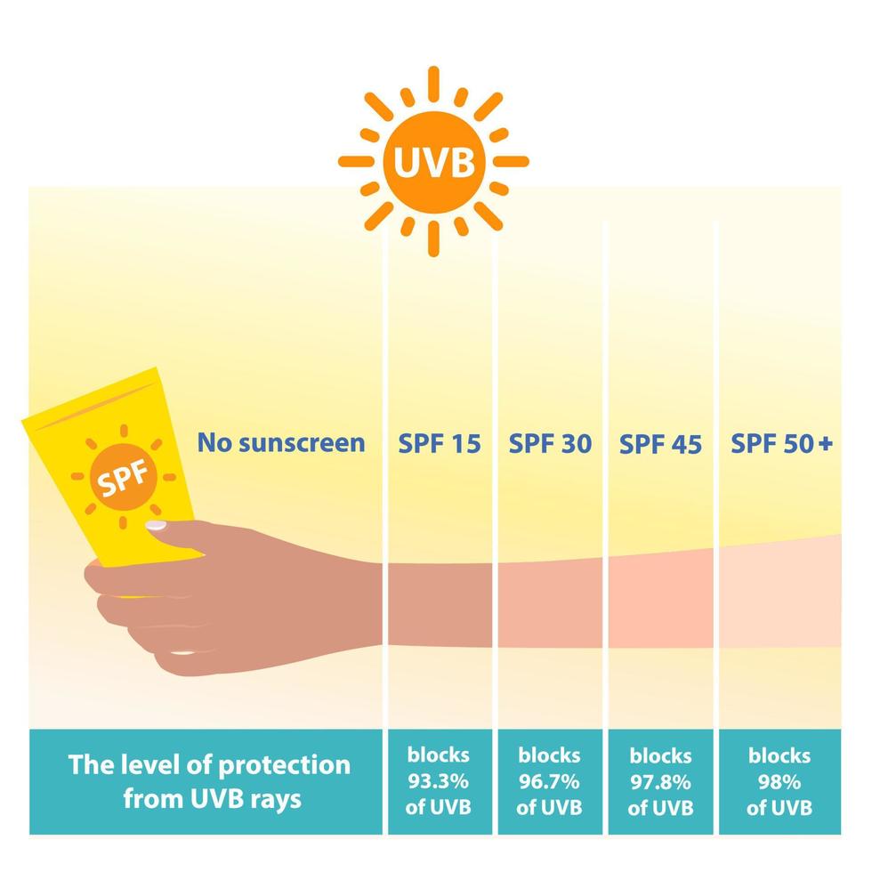 a diferente níveis do spf protetor solar proteger uvb raios vetor em branco fundo. comparação do braço pele tom com a nível do Sol proteção fator protetor solar. pele Cuidado e beleza conceito.