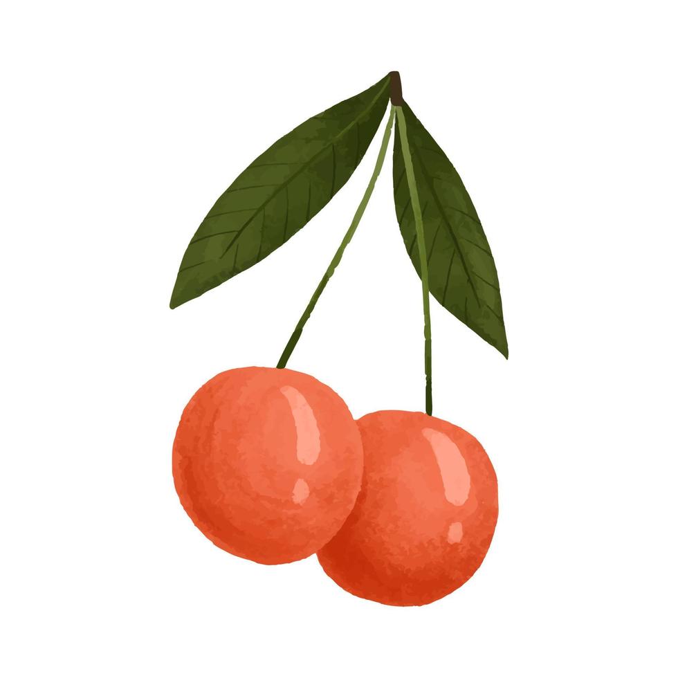 fofa mão desenhado ilustração com cereja, vegano comida, nutricionista, saudável frutas vetor