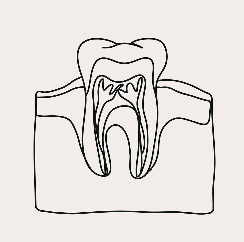 minimalista dentista linha arte, dentes esboço desenho, dental escritório, simples esboço, vetor Projeto