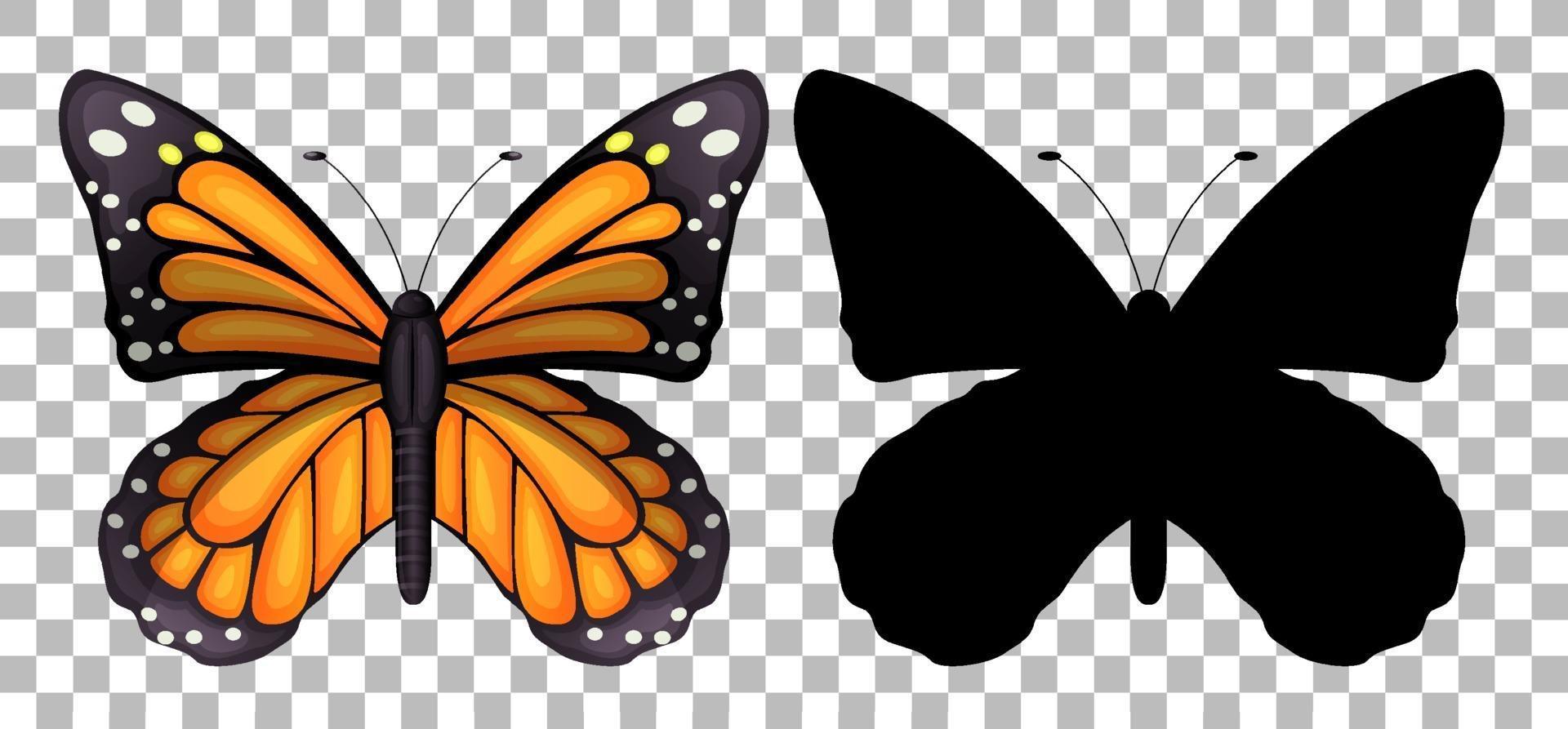 borboleta e sua silhueta vetor