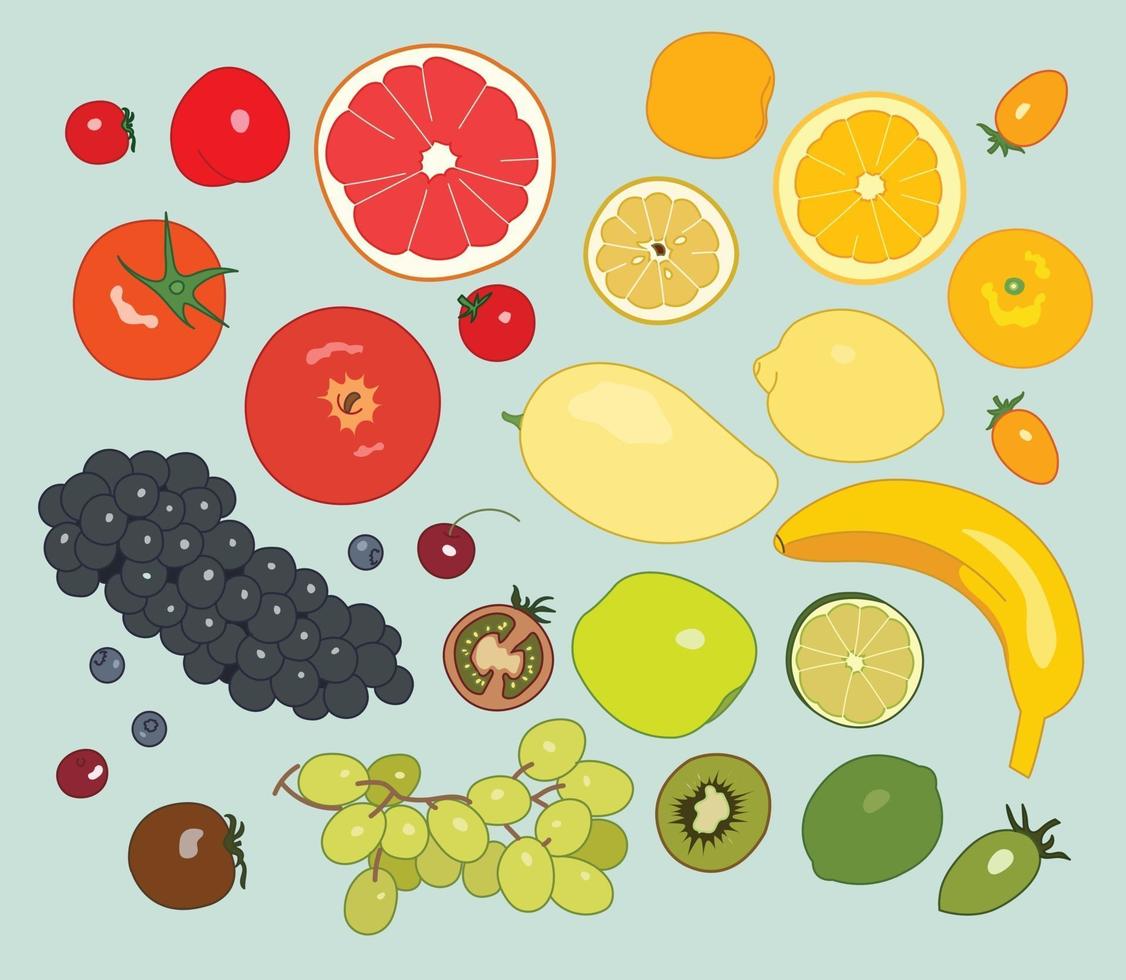 vários tipos de frutas. mão desenhada estilo ilustrações vetoriais. vetor