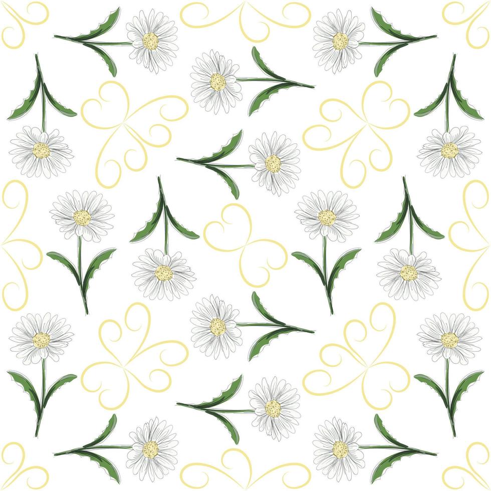 moderno desatado floral padrão, desenhado à mão margaridas em uma branco fundo. a elegante modelo para elegante impressões, impressão, local na rede Internet Projeto. vetor