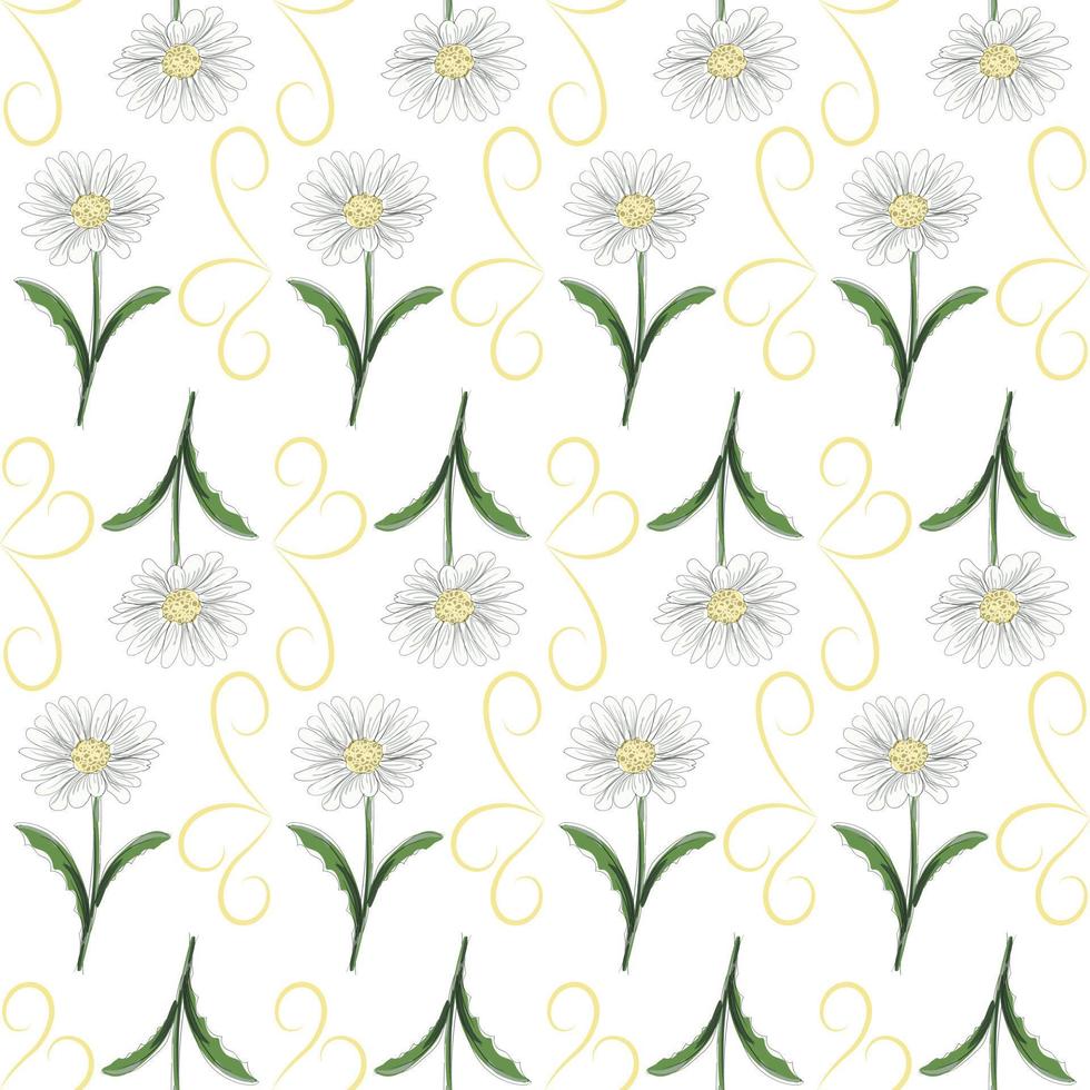 moderno desatado floral padrão, desenhado à mão margaridas em uma branco fundo. a elegante modelo para elegante impressões, impressão, local na rede Internet Projeto. vetor