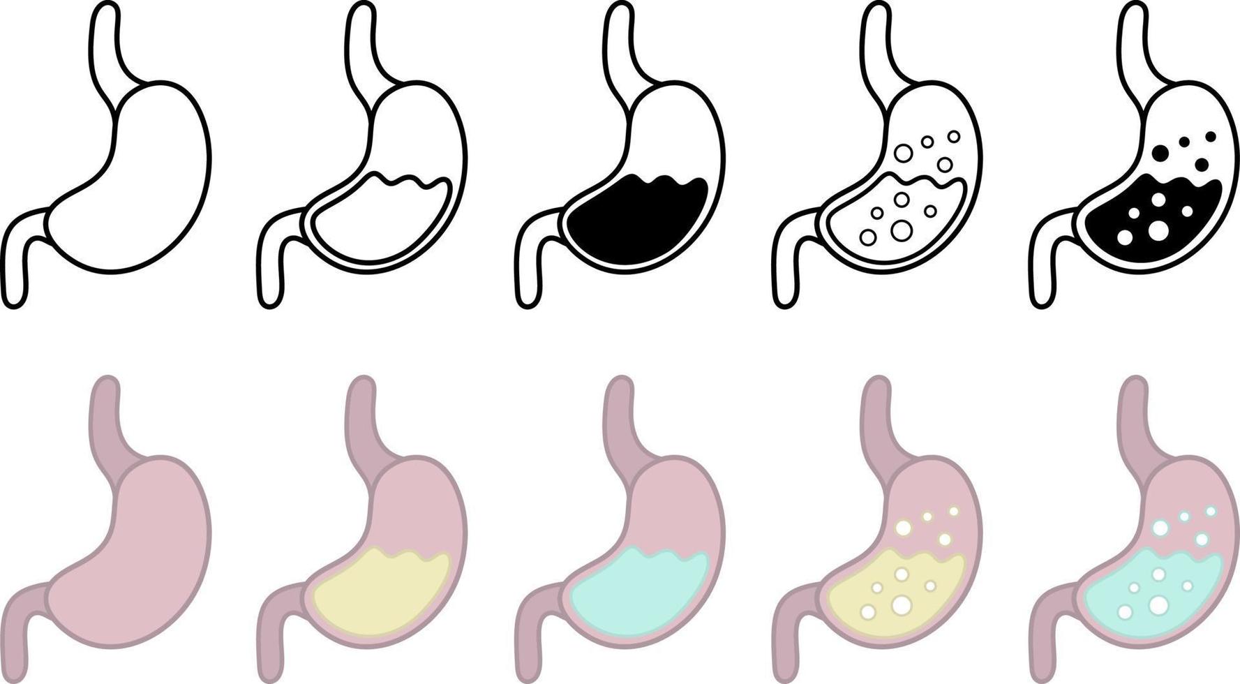 vetor humano estômago gráfico Projeto. metabolismo ícones. digestivo sistema conceito. ilustração