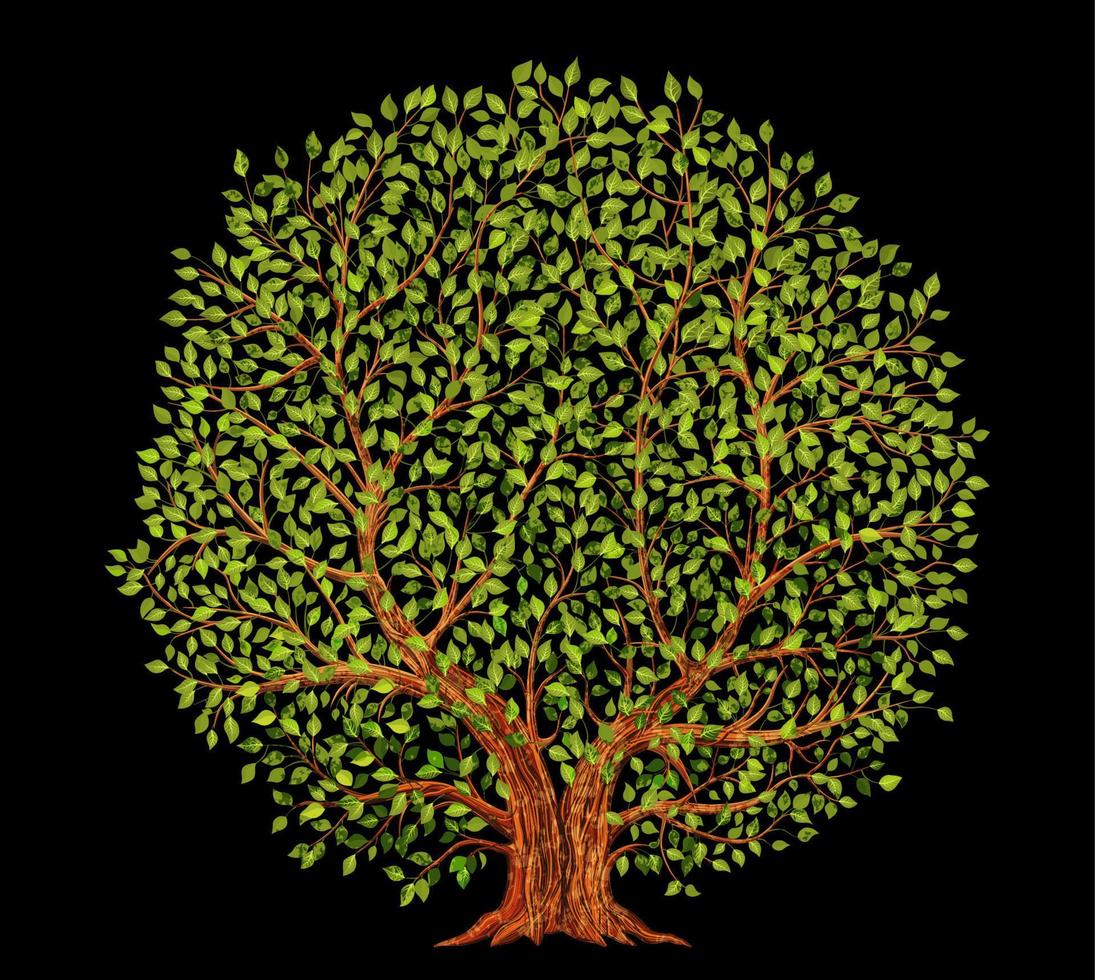 velho árvore em Preto fundo vetor ilustração