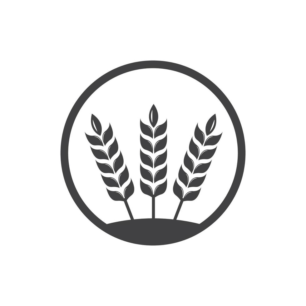 ícone de vetor de modelo de logotipo de trigo de agricultura