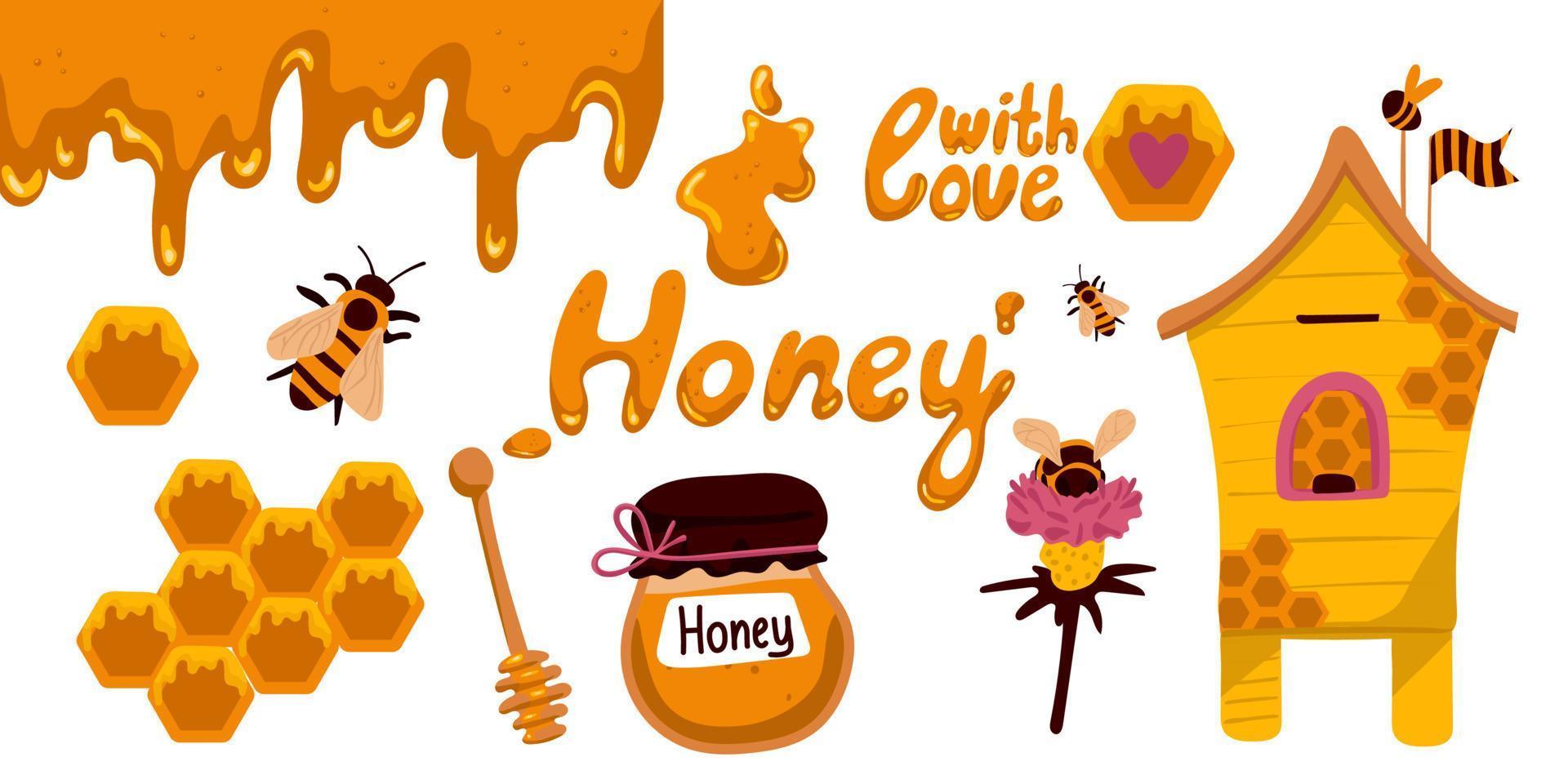 querida e apicultura Projeto elementos definir. coleção do abelha, colméia, jarra, colher, favo de mel. vetor ilustração isolado objetos dentro plano desenho animado estilo.