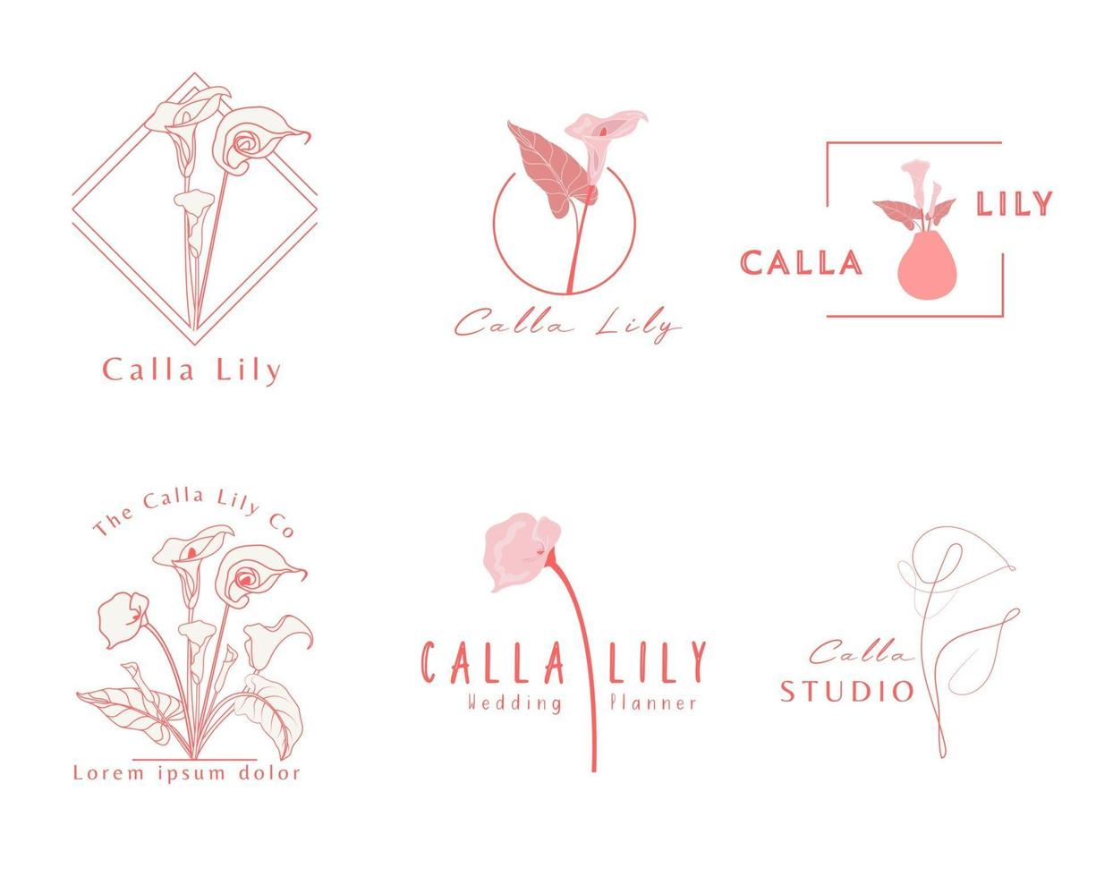 modelo de logotipo de lírio de calla. botânico e logotipo da flor. vetor