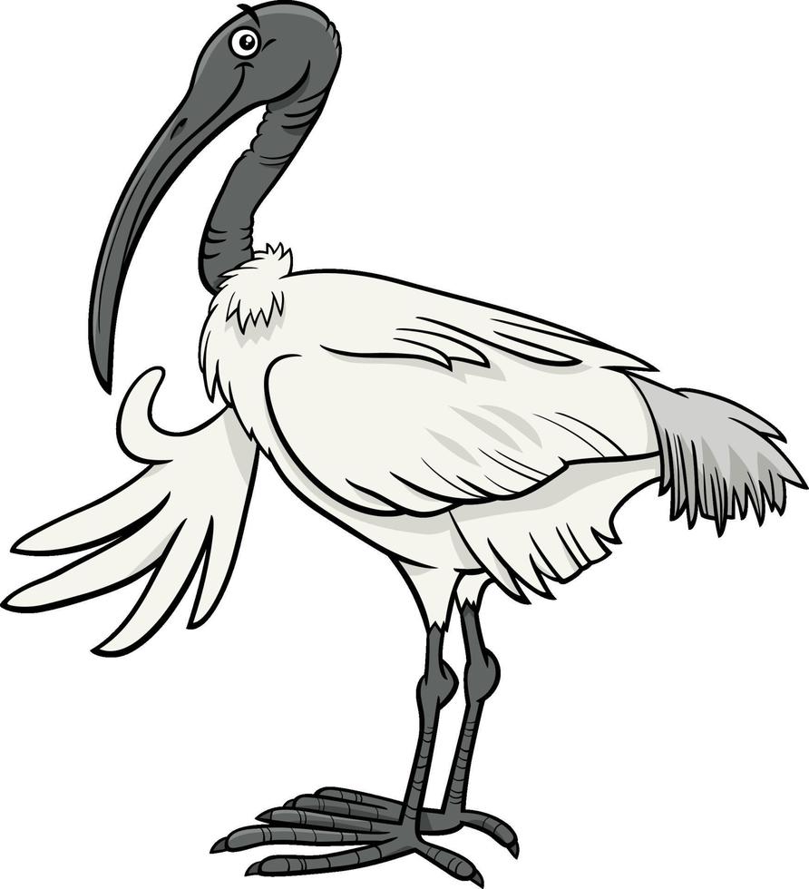 desenho animado ibis pássaro em quadrinhos animal personagem vetor