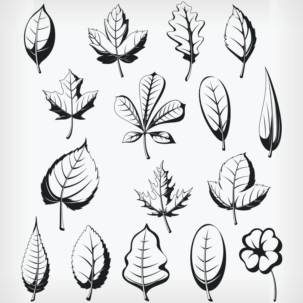 silhueta de folhas de plantas, desenho de ilustração vetorial de estêncil vetor