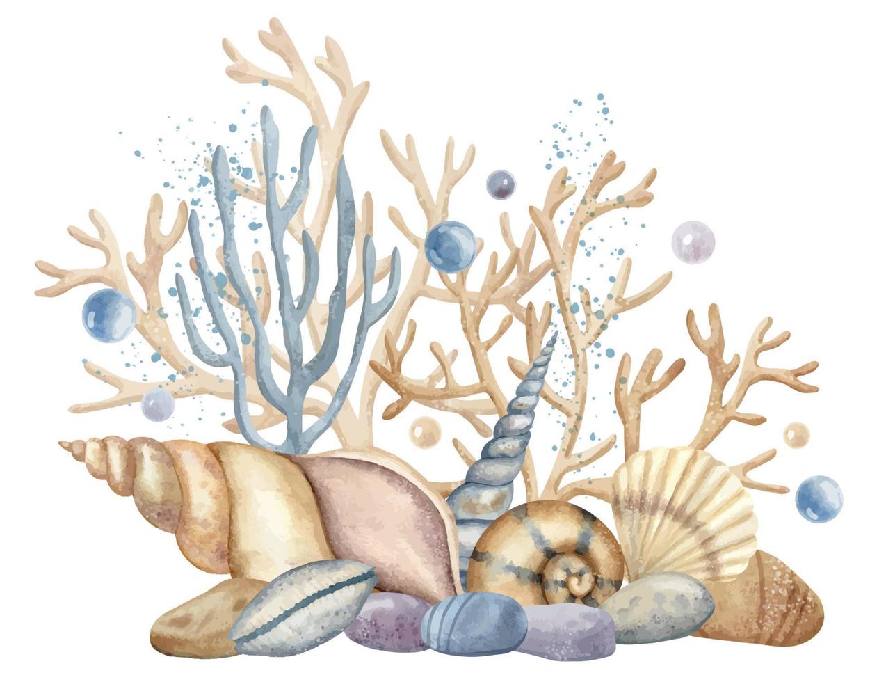 ilustração do submarino vida. mão desenhado composição com conchas, corais e algas marinhas em isolado fundo dentro pastel bege e azul cores. colorida desenhando do embaixo da agua flora para ícone ou logotipo vetor
