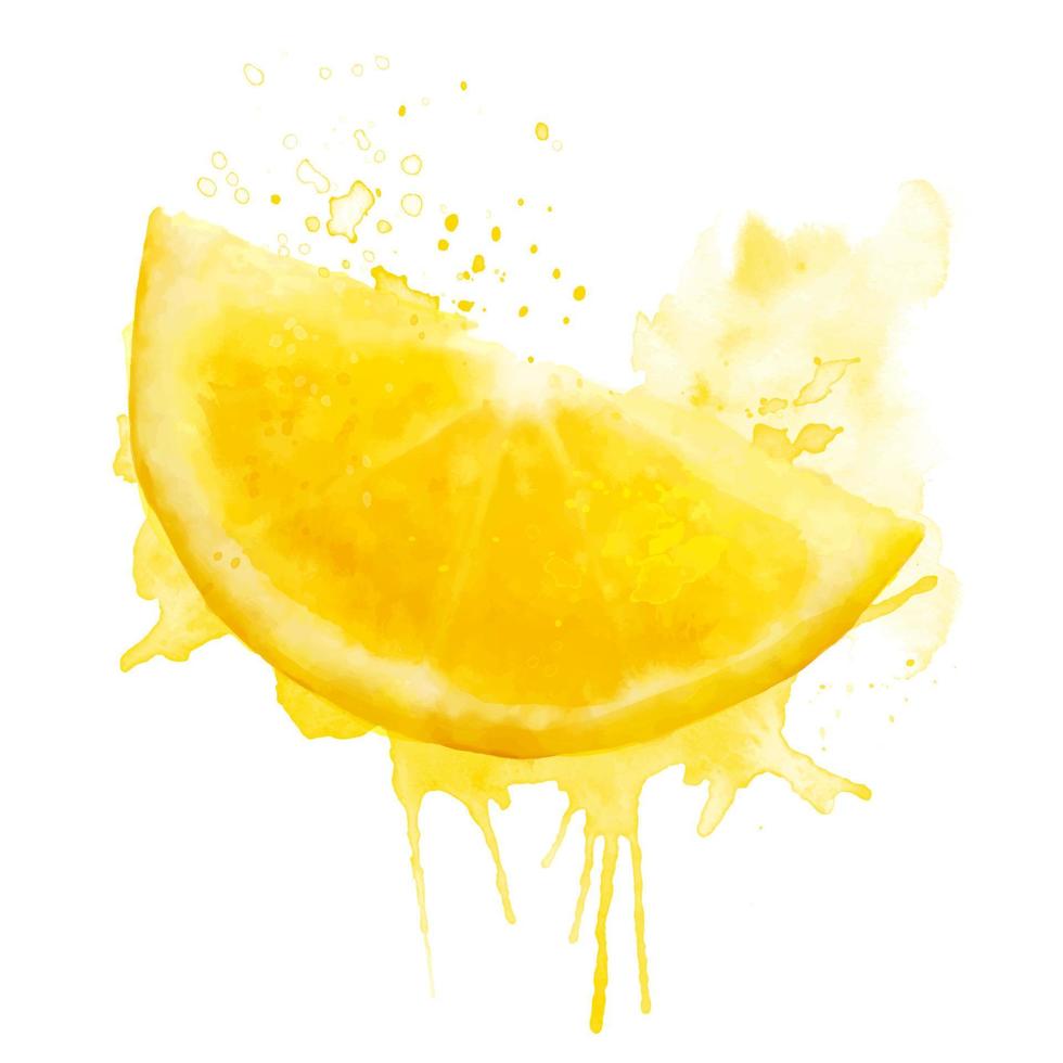 aguarela fresco amarelo verão ilustração do limão fatiar. isolado ilustração em uma branco fundo, para cartões postais, padrões, e têxteis. vetor