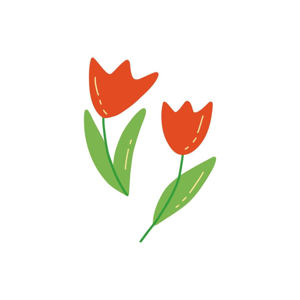 dois vermelho tulipas. colorida vetor rabisco mão desenhado