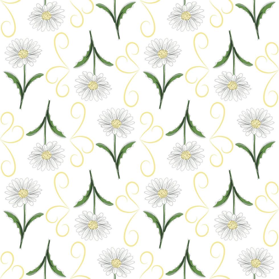 moderno desatado floral padrão, desenhado à mão margaridas em uma branco fundo. a elegante modelo para elegante impressões, impressão, local na rede Internet Projeto. vetor