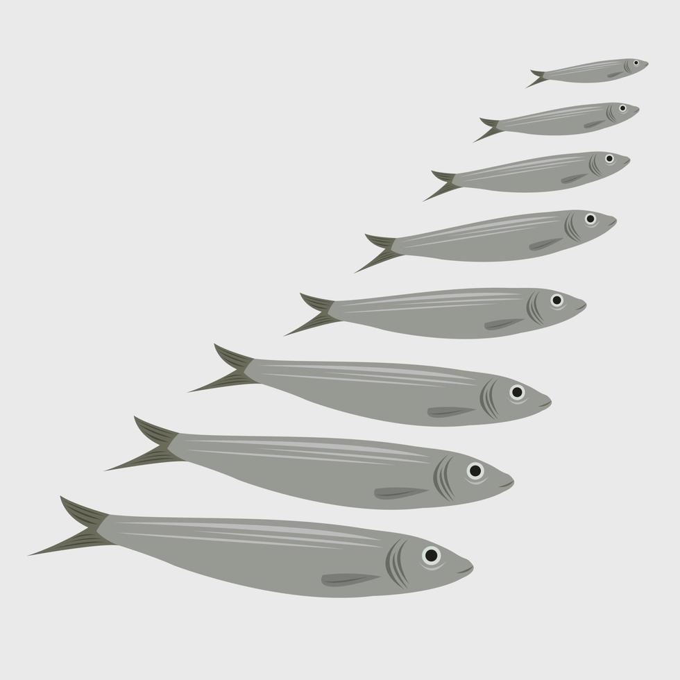 fresco anchovas peixe vetor ilustração para gráfico Projeto e decorativo elemento