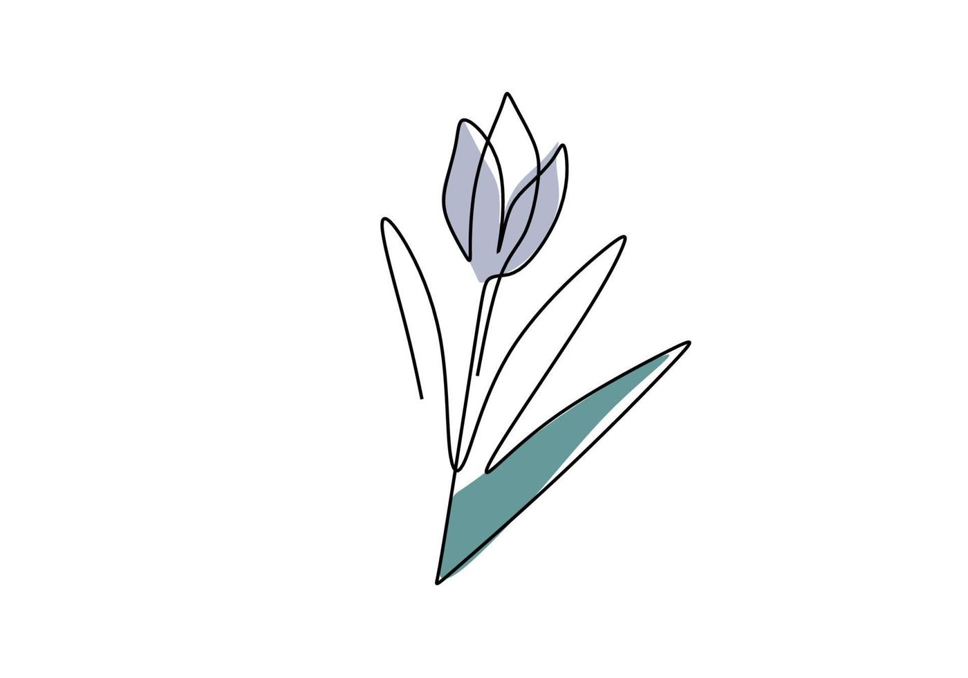 bela flor de tulipa um desenho de contorno minimalista de arte de linha  contínua. elemento de design floral primavera isolado no fundo branco.  desabrochar flor natural com folha. ilustração vetorial 2216250 Vetor
