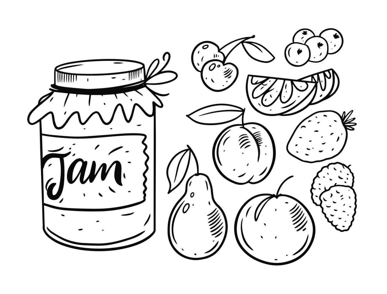 frutas geléia dentro jar. mão desenhando rabisco conjunto elementos. Preto e branco cores. vetor