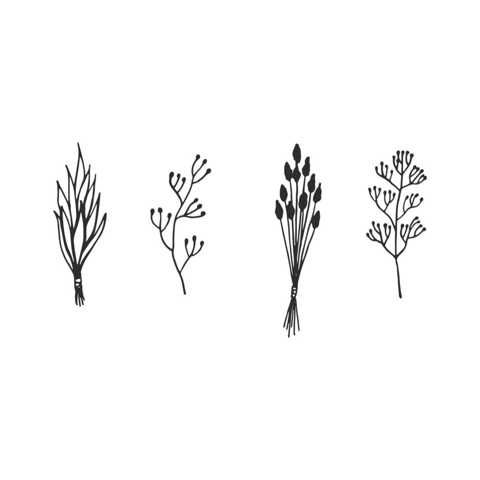 mão desenhada elemento do vetor. monte de ervas secas. esboço ilustração para magia, cerimônia do aroma, fitoterapia. vetor