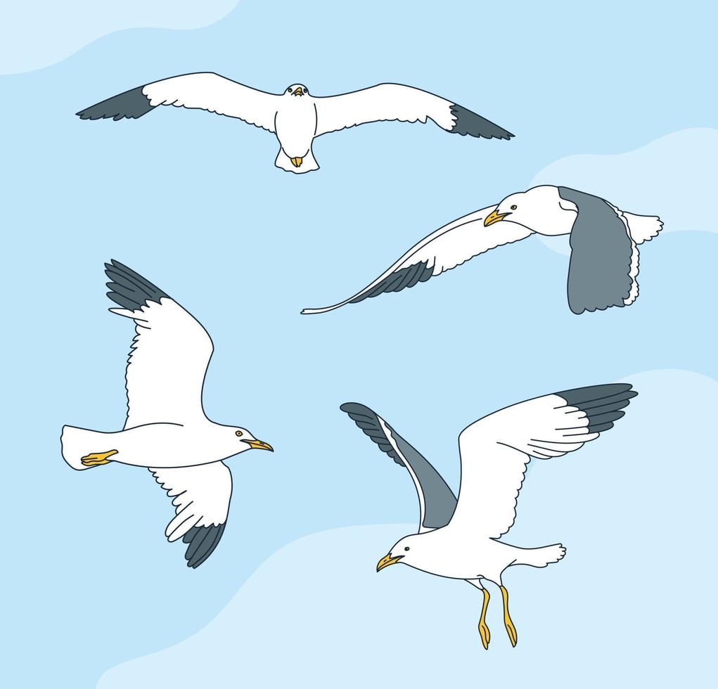 vários movimentos de gaivotas. mão desenhada estilo ilustrações vetoriais. vetor